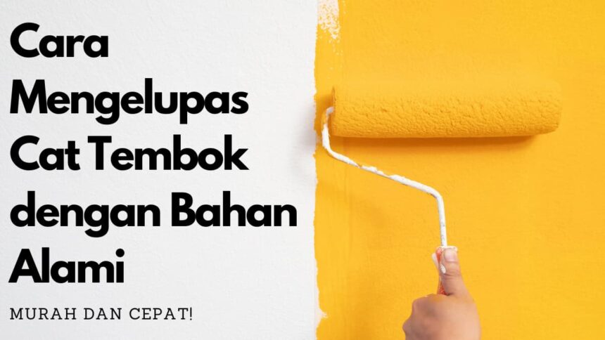 Mengelupas Cat Tembok dengan Bahan Alami