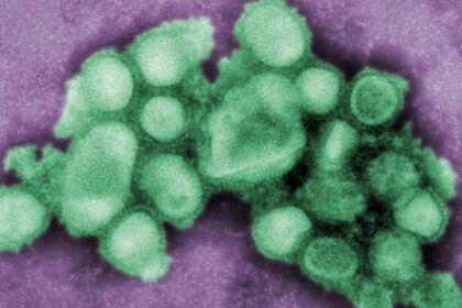 Virus Flu Burung