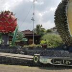 Warso Farm