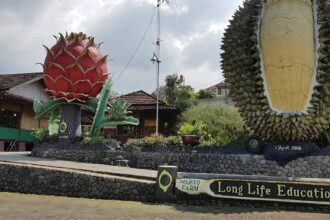 Warso Farm
