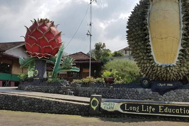 Warso Farm