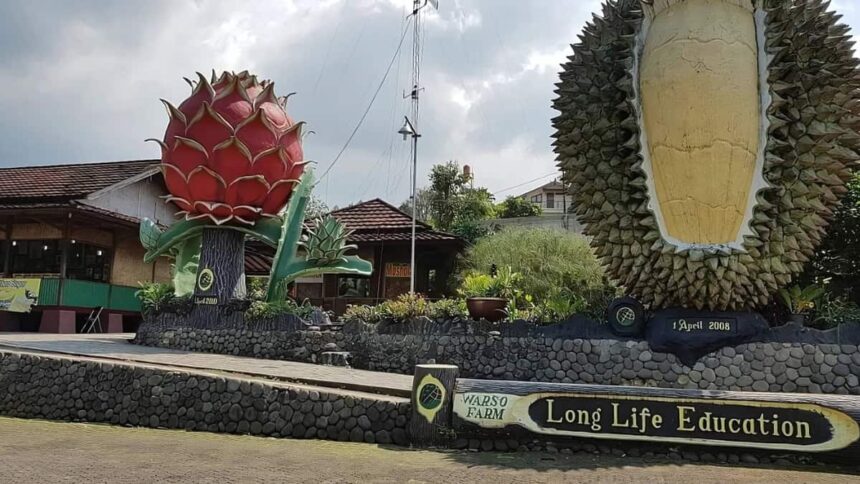 Warso Farm