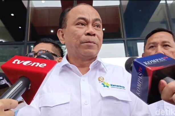 budi arie setiadi kurniawan fadilahdetikcom 1747806189499 169