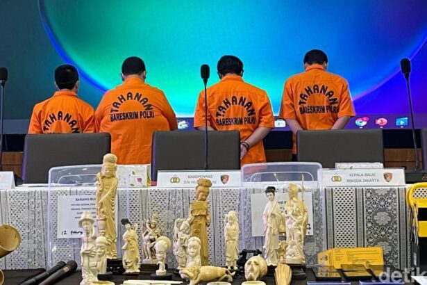 dittipidter bareskrim polri menggagalkan penyelundupan gading gajah utuh hingga pipa rokok yang terbuat dari gading gajah rumo 1748235181195 169