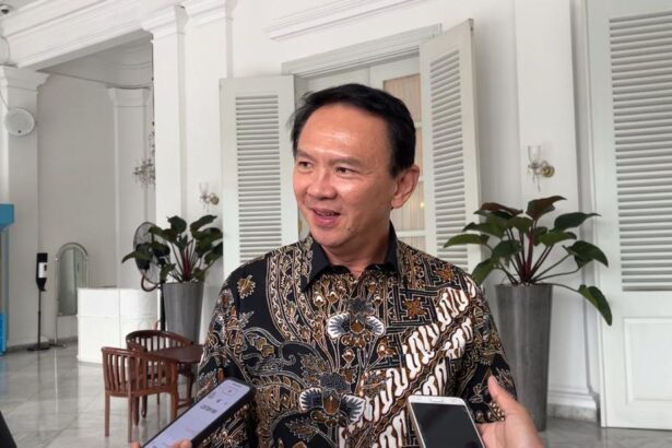 gubernur dki jakarta periode 2014 2017 basuki tjahaja purnama alias ahok 1747820634953 169