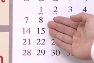 ilustrasi kalender 1 169
