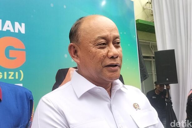 kepala bgn dadan hindayana maulanidetikcom 1748274979222 169