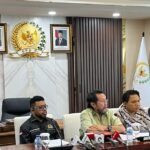 mpr for papua anggi muliawatidetikcom 1748338840835 169