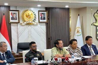 mpr for papua anggi muliawatidetikcom 1748338840835 169