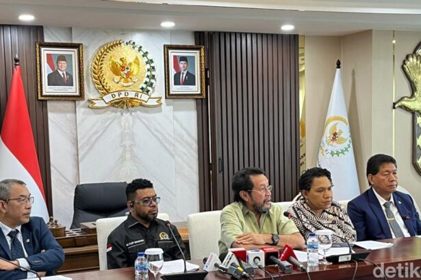 mpr for papua anggi muliawatidetikcom 1748338840835 169
