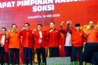 soksi 1747747899955 169