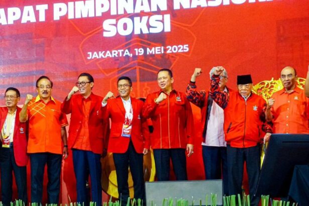 soksi 1747747899955 169