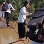 tangkap layar video guru melewati jembatan gantung memijak seutas tali di merangin jambi 1747118693650 169