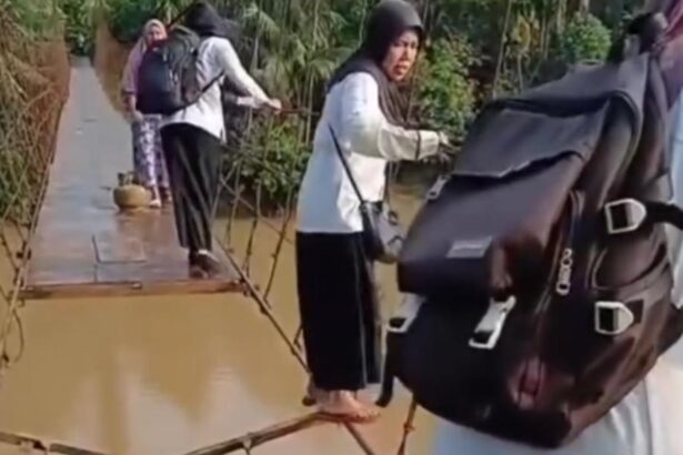 tangkap layar video guru melewati jembatan gantung memijak seutas tali di merangin jambi 1747118693650 169