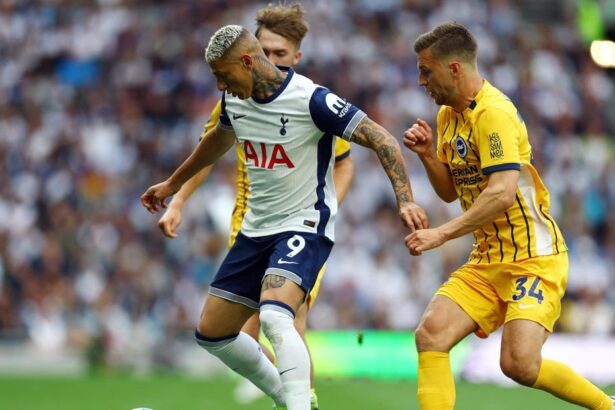 tottenham hotspur richarlison 1748193121847 169